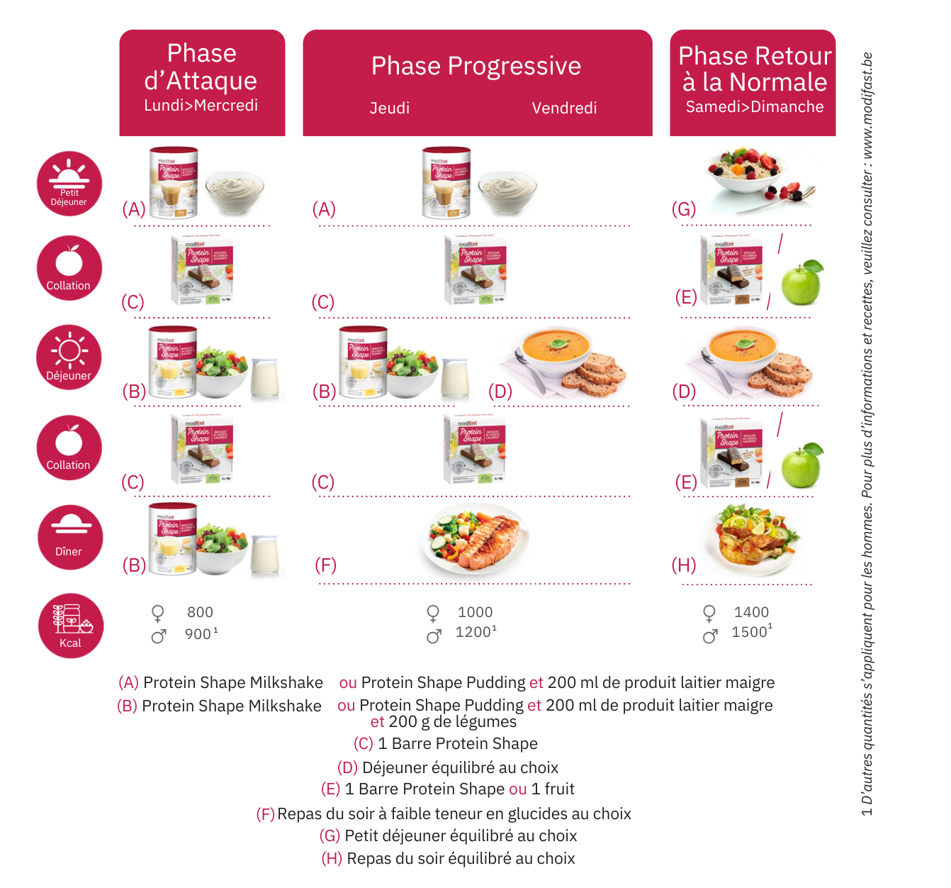 Shéma Protein Shape homme Modifast